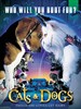 猫狗大战/Cats & Dogs(2001)