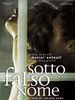 窃欲无罪/Sotto falso nome(2004)