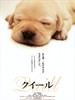导盲犬小Q/Quill(2004)