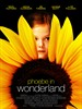 菲比梦游奇境/Phoebe in Wonderland(2008)