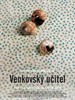 乡村教师/Venkovsky Ucitel(2008)