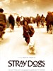流浪狗/Stray Dogs(2004)