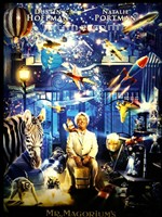 马格瑞姆的玩具店Mr. Magorium's Wonder Emporium (2007)