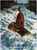 猫狗也疯狂/Homeward Bound: The Incredible Journey(1993)