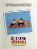 抚养亚历桑纳/Raising Arizona(1987)
