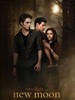 暮色2：新月 The Twilight Saga: New Moon(2009)