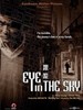 跟踪/Eye in the Sky
