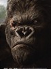 金刚/King Kong(2005)
