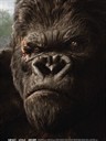 金刚 King Kong(2005)