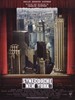 纽约提喻法/Synecdoche, New York(2008)