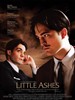达利和他的情人/Little Ashes(2008)