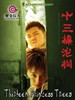 十三棵泡桐/Thirreen Princess Trees(2006)