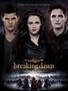 暮光之城4：破晓（下）/The Twilight Saga: Breaking Dawn - Part 2(2012)