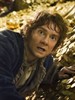霍比特人2：史矛革荒漠/The Hobbit: Desolation of Smaug(2013)