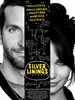 乌云背后的幸福线/Silver Linings Playbook(2012)
