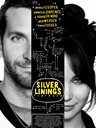 乌云背后的幸福线 Silver Linings Playbook(2012)