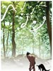 亚当与狗/Adam and Dog(2011)