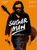 寻找小糖人/Searching for Sugar Man(2012)