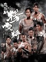 忠烈杨家将 Saving General Yang(2013)