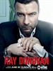 清道夫/Ray Donovan(2013)