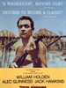 桂河大桥/The Bridge on the River Kwai(1957)