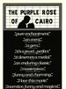 开罗的紫玫瑰/The Purple Rose of Cairo(1985)