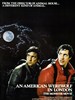 美国狼人在伦敦/An American Werewolf in London(1981)