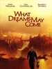 美梦成真/What Dreams May Come(1998)