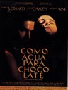 情迷巧克力 Como agua para chocolate(1992)