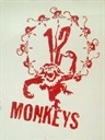 十二猴子 12 Monkeys(1995)