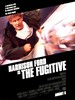 亡命天涯/The Fugitive(1993)