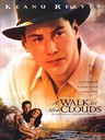 云中漫步 A Walk in the Cloud(1995)