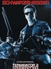终结者2/Terminator 2: Judgment Day(1991)