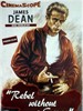 无因的反叛/Rebel Without a Cause(1955)