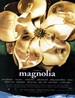 木兰花/Magnolia(1999)