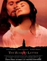 红字 The Scarlet Letter(1995)
