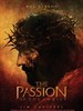 耶稣受难记/The Passion of the Christ(2004)