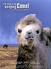 哭泣的骆驼/Geschichte vom weinenden Kamel, Die(2003)