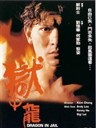 狱中龙 Yu zhong long(1990)