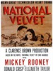 玉女神驹/National Velvet(1944)