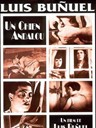 一条安达鲁狗 Un chien andalou(1929)