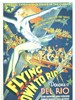 飞往里约/Flying Down to Rio(1933)