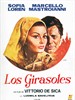 向日葵/I Girasoli(1970)