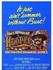 卖命生涯/Hooper(1978)