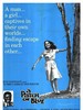再生缘/A Patch of Blue(1965)