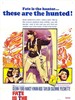 空难追踪案/Fate Is the Hunter(1964)