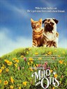 子猫物语 The Adventures of Milo and Otis(1986)