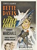 小狐狸/The Little Foxes(1941)