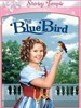 青鸟/The Blue Bird(1940)