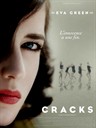 裂缝 Cracks(2009)